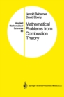Mathematical Problems from Combustion Theory - eBook