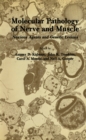 Molecular Pathology of Nerve and Muscle : Noxious Agents and Genetic Lesions - eBook