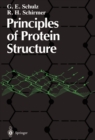 Principles of Protein Structure - eBook