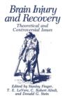 Brain Injury and Recovery : Theoretical and Controversial Issues - Book