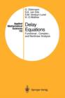 Delay Equations : Functional-, Complex-, and Nonlinear Analysis - Book