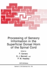 Processing of Sensory Information in the Superficial Dorsal Horn of the Spinal Cord - eBook