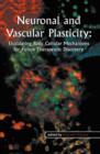 Neuronal and Vascular Plasticity : Elucidating Basic Cellular Mechanisms for Future Therapeutic Discovery - Book