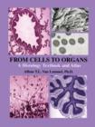 From Cells to Organs : A Histology Textbook and Atlas - Book