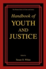 Handbook of Youth and Justice - Book