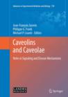 Caveolins and Caveolae : Roles in Signaling and Disease Mechanisms - eBook