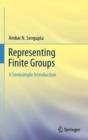 Representing Finite Groups : A Semisimple Introduction - Book