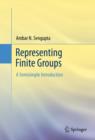Representing Finite Groups : A Semisimple Introduction - eBook