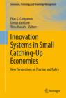 Innovation Systems in Small Catching-Up Economies : New Perspectives on Practice and Policy - eBook