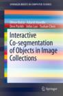 Interactive Co-segmentation of Objects in Image Collections - eBook