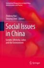 Social Issues in China : Gender, Ethnicity, Labor, and the Environment - eBook
