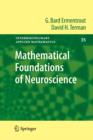 Mathematical Foundations of Neuroscience - Book