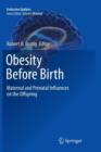 Obesity Before Birth : Maternal and prenatal influences on the offspring - Book