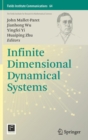 Infinite Dimensional Dynamical Systems - Book
