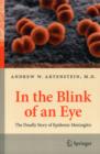 In the Blink of an Eye : The Deadly Story of Epidemic Meningitis - Book