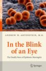 In the Blink of an Eye : The Deadly Story of Epidemic Meningitis - eBook
