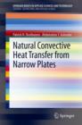 Natural Convective Heat Transfer from Narrow Plates - Book