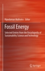 Nuclear Energy : Selected Entries from the Encyclopedia of Sustainability Science and Technology - Ripudaman Malhotra