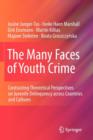 The Many Faces of Youth Crime : Contrasting Theoretical Perspectives on Juvenile Delinquency across Countries and Cultures - Book