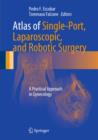 Atlas of Single-Port, Laparoscopic, and Robotic Surgery : A Practical Approach in Gynecology - Book