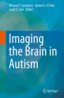 Imaging the Brain in Autism - eBook