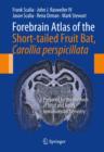 Forebrain Atlas of the Short-Tailed Fruit Bat, Carollia Perspicillata : Prepared by the Methods of Nissl and Neun Immunohistochemistry - Book