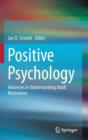 Positive Psychology : Advances in Understanding Adult Motivation - Book