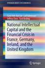 National Intellectual Capital and the Financial Crisis in France, Germany, Ireland, and the United Kingdom - Book