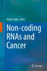 Non-coding RNAs and Cancer - eBook