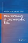 Molecular Biology of Long Non-coding RNAs - eBook