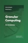 Granular Computing : An Introduction - eBook
