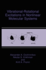 Vibrational-Rotational Excitations in Nonlinear Molecular Systems - eBook