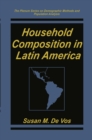 Household Composition in Latin America - eBook