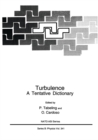 Turbulence : A Tentative Dictionary - eBook