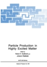 Particle Production in Highly Excited Matter - eBook