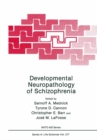 Developmental Neuropathology of Schizophrenia - eBook