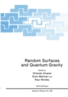 Random Surfaces and Quantum Gravity - eBook