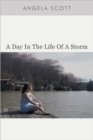 A Day in the Life of a Storm - Book