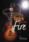 A Spark Before the Fire - Book
