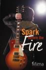 A Spark Before the Fire - Book