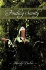 Finding Sanity - Book