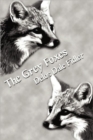 The Grey Foxes - Book