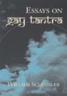 Essays on Gay Tantra - eBook