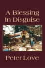 A Blessing in Disguise - eBook