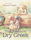The Gnomes of Dry Creek - Book