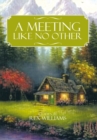 A Meeting Like No Other - eBook