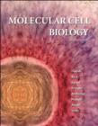 Molecular Cell Biology : International Edition - Book