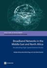 Broadband networks in the Middle East and North Africa : accelerating high-speed internet access - Book