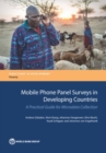 Mobile phone panel surveys in developing countries : a practical guide for microdata collection - Book