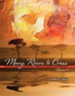 Many Rivers to Cross: Selected Readings on the African American Experience: Vol 1, Preliminary Edition - Book